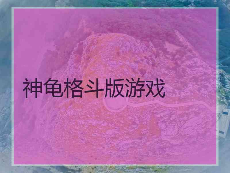 神龟格斗版游戏
