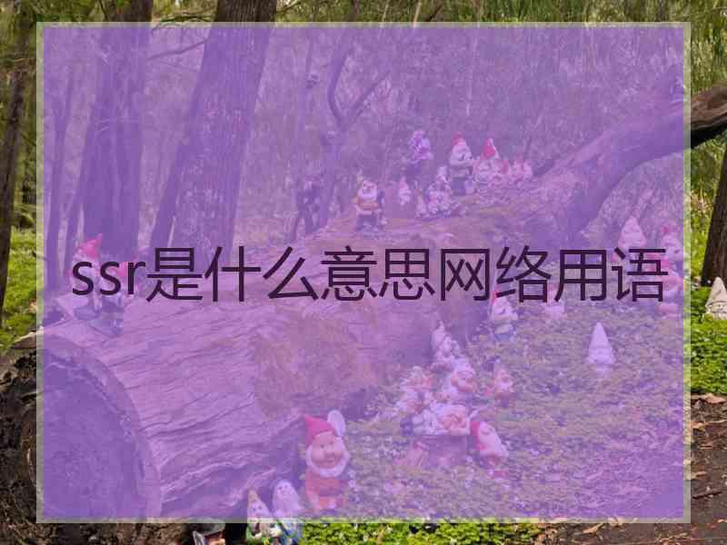 ssr是什么意思网络用语