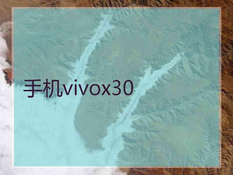 手机vivox30