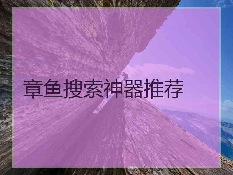 章鱼搜索神器推荐
