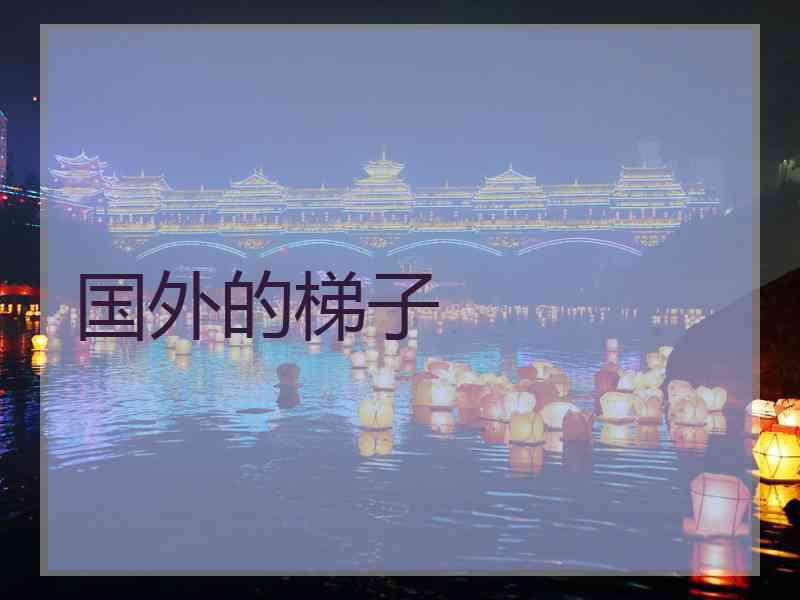 国外的梯子