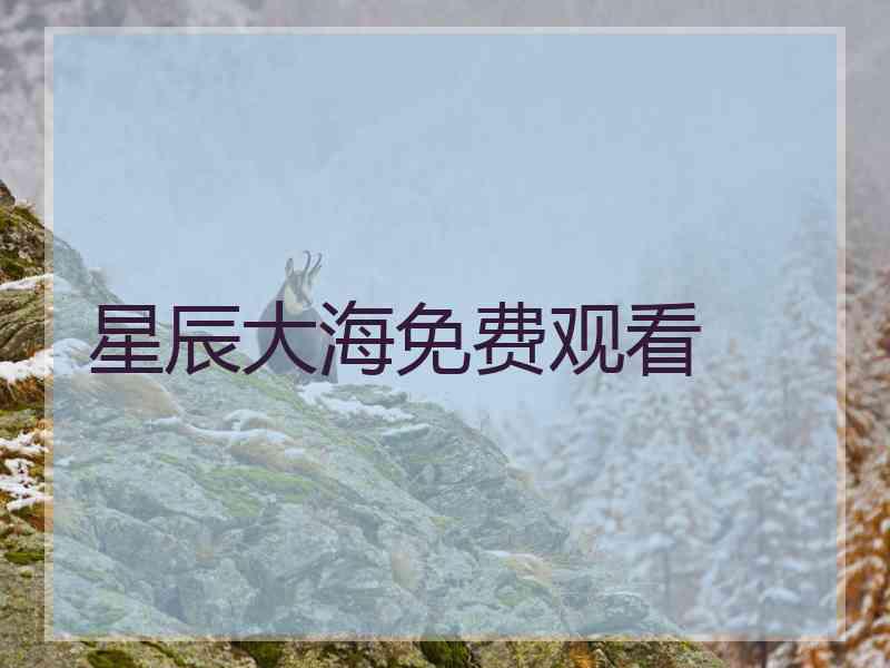 星辰大海免费观看
