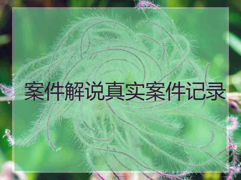 案件解说真实案件记录