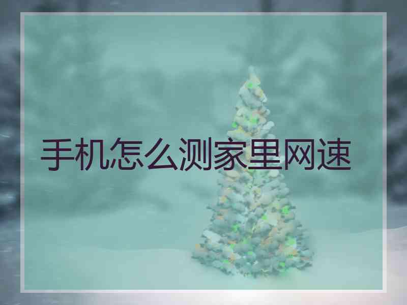 手机怎么测家里网速