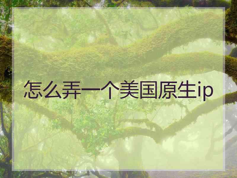 怎么弄一个美国原生ip