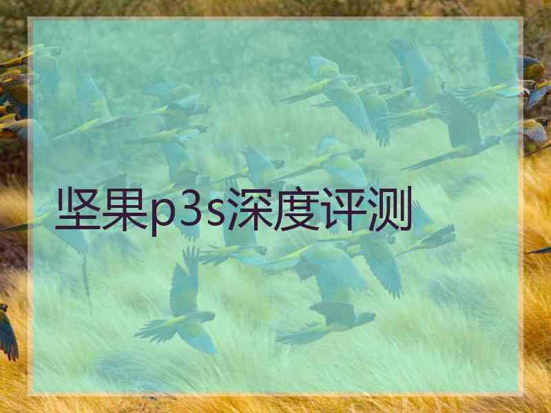 坚果p3s深度评测