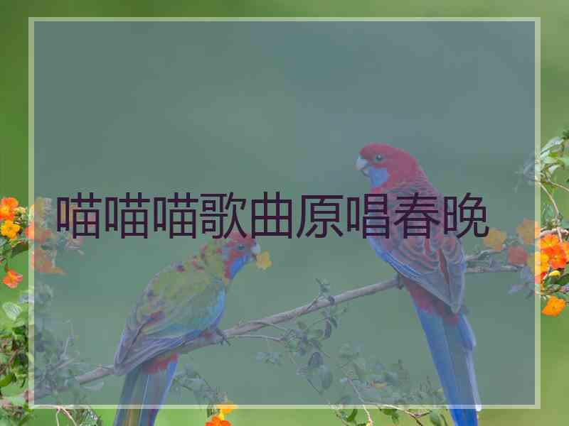 喵喵喵歌曲原唱春晚