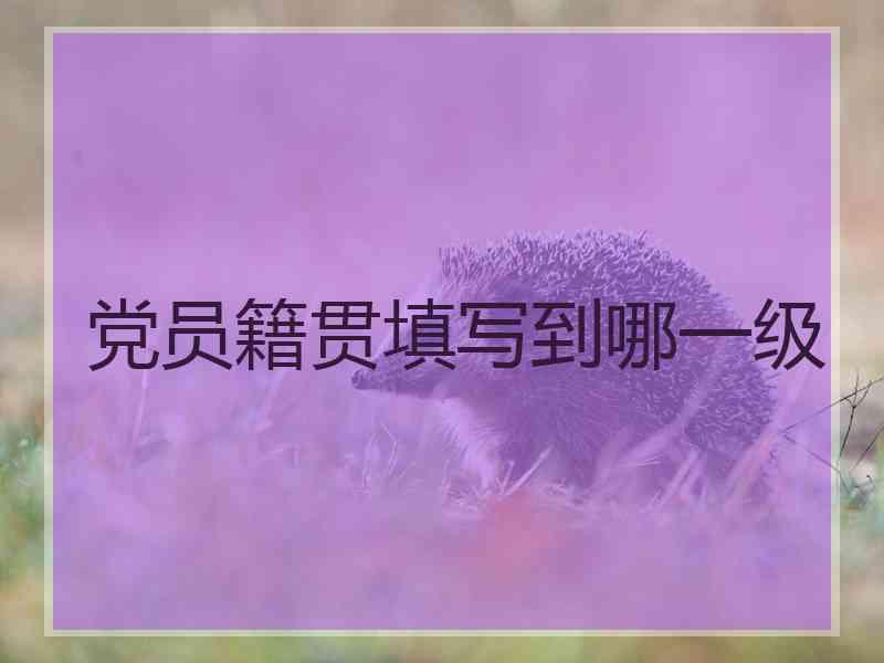 党员籍贯填写到哪一级