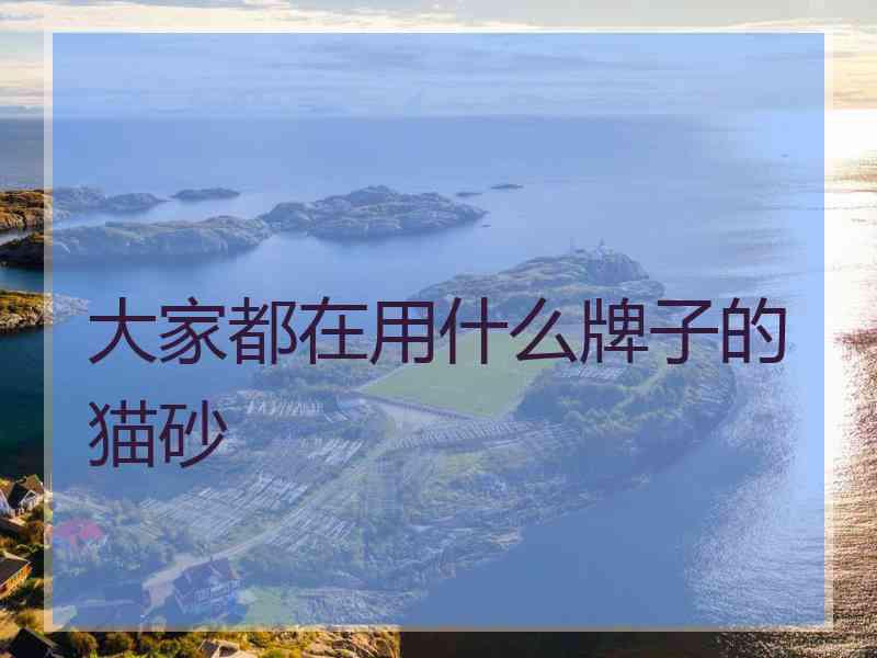 大家都在用什么牌子的猫砂