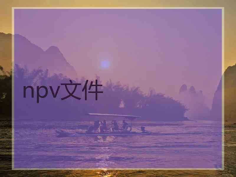 npv文件