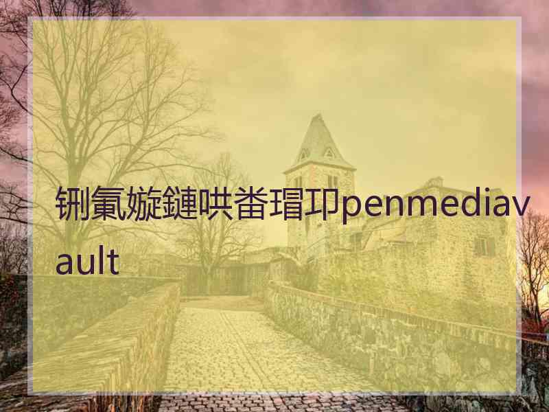 铏氭嫙鏈哄畨瑁卭penmediavault