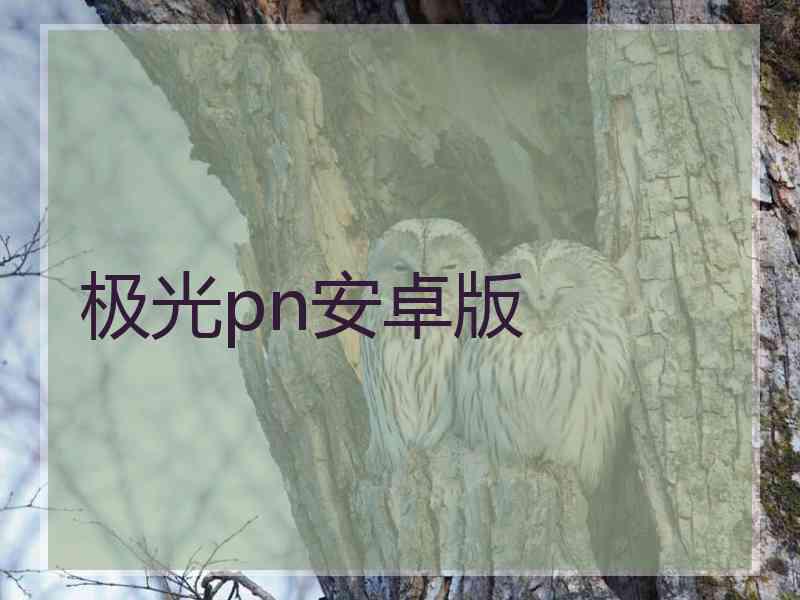 极光pn安卓版