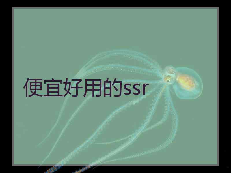 便宜好用的ssr
