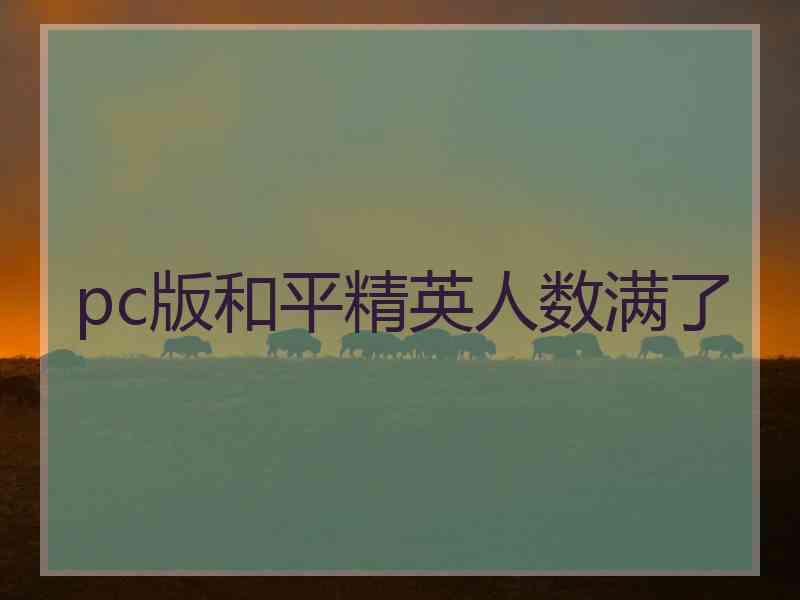 pc版和平精英人数满了