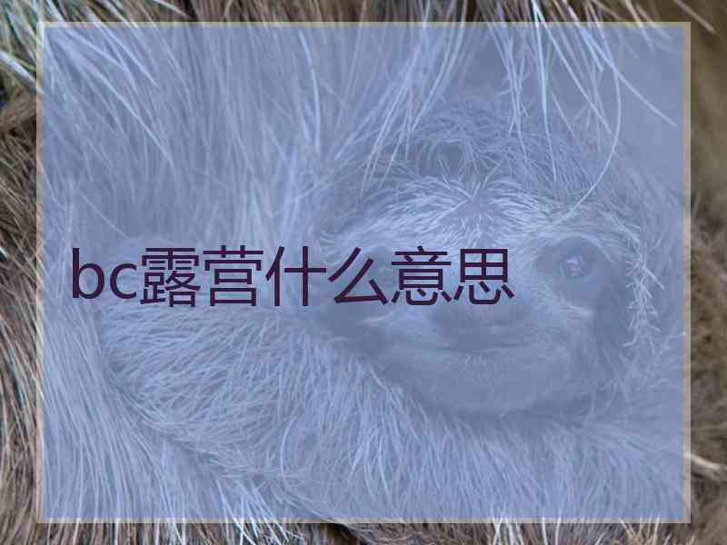 bc露营什么意思