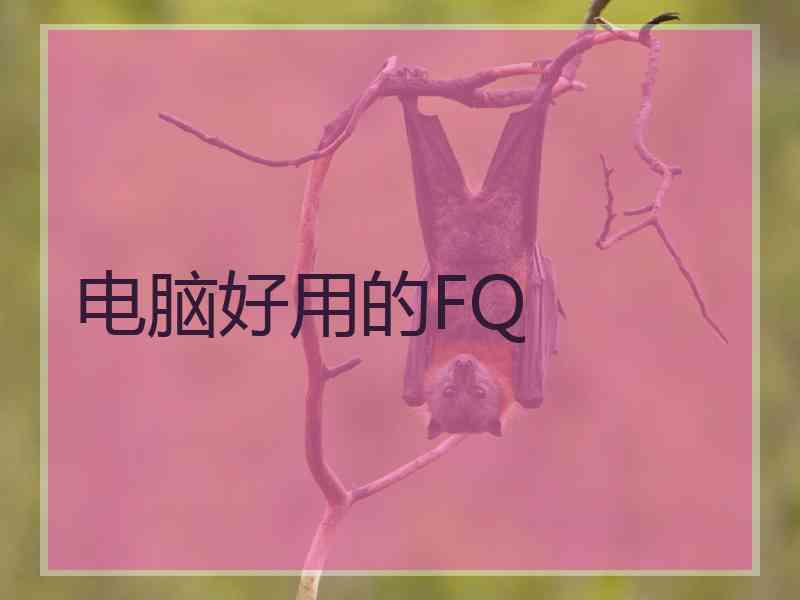 电脑好用的FQ