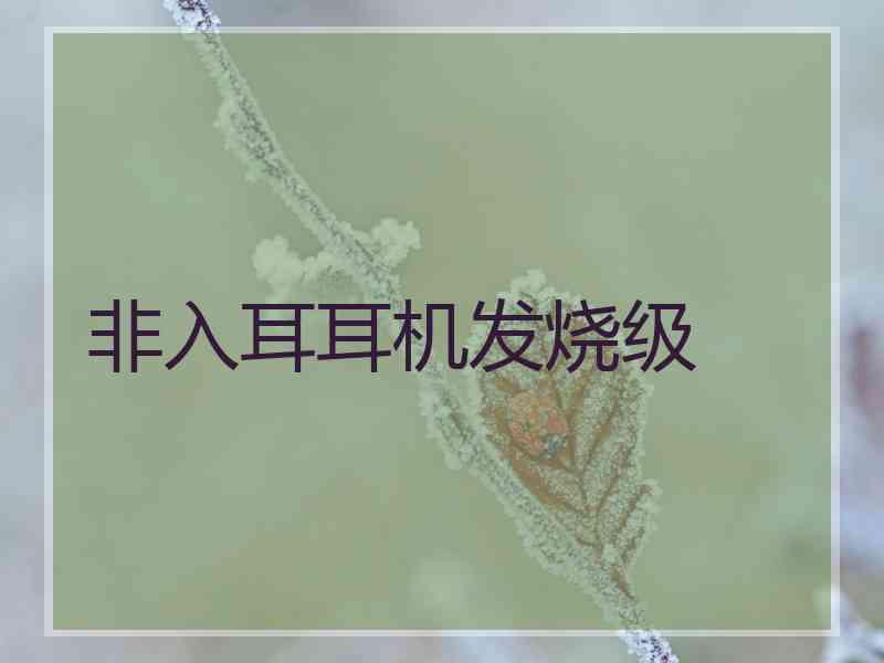非入耳耳机发烧级