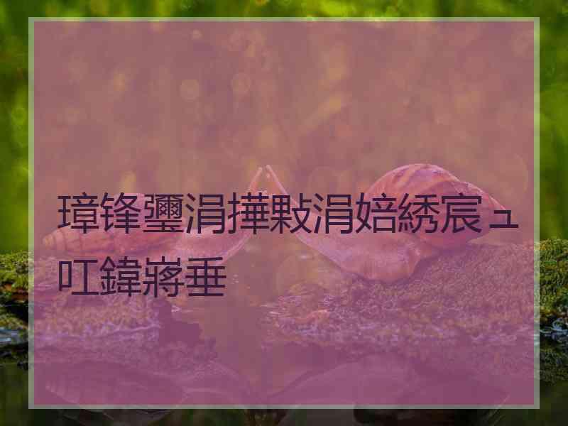 璋锋瓕涓撶敤涓婄綉宸ュ叿鍏嶈垂