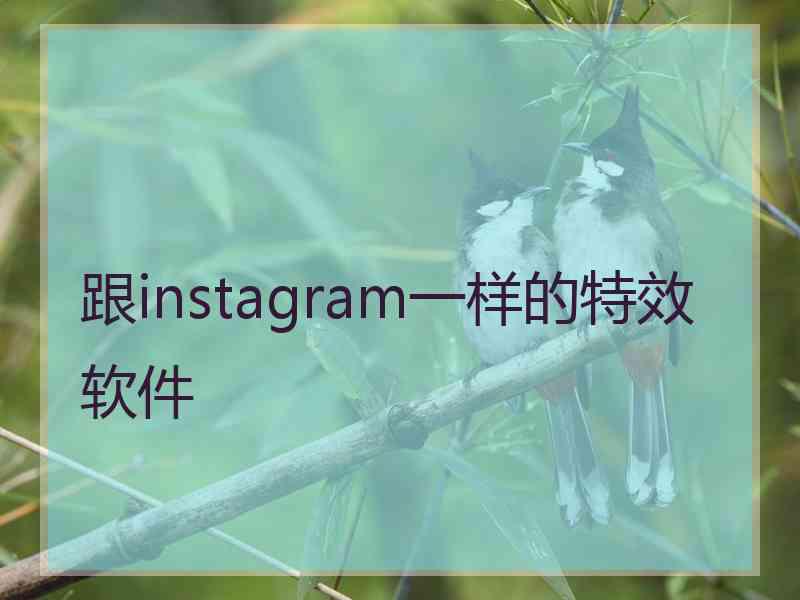 跟instagram一样的特效软件