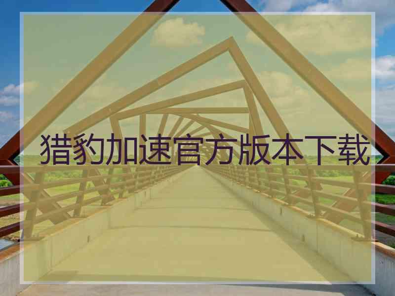 猎豹加速官方版本下载