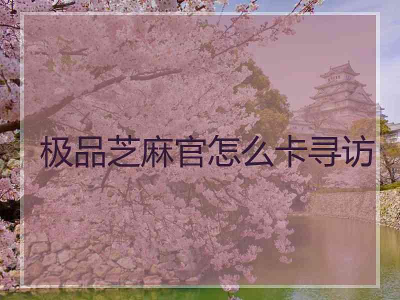 极品芝麻官怎么卡寻访
