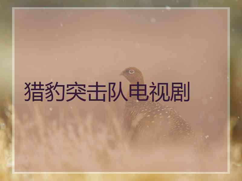 猎豹突击队电视剧