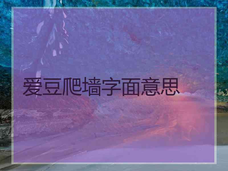 爱豆爬墙字面意思