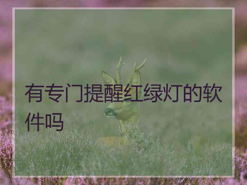 有专门提醒红绿灯的软件吗