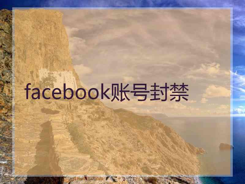 facebook账号封禁