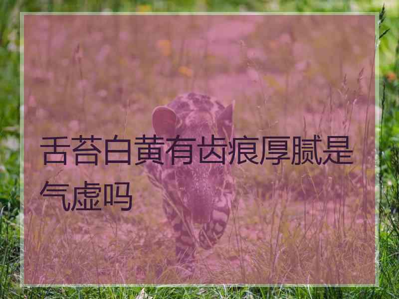 舌苔白黄有齿痕厚腻是气虚吗