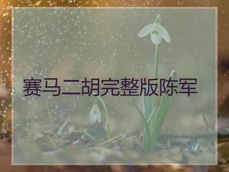 赛马二胡完整版陈军