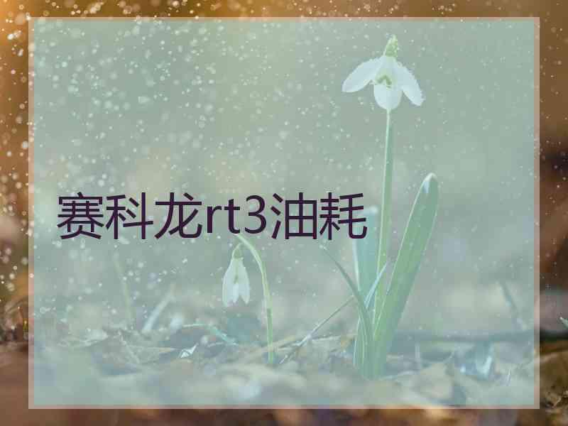 赛科龙rt3油耗