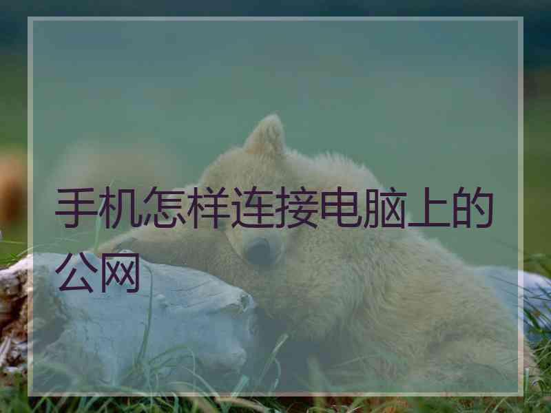 手机怎样连接电脑上的公网