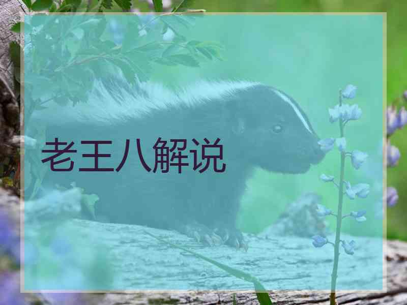 老王八解说