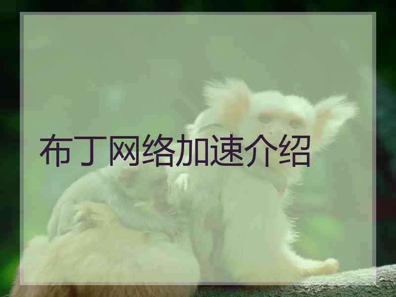 布丁网络加速介绍