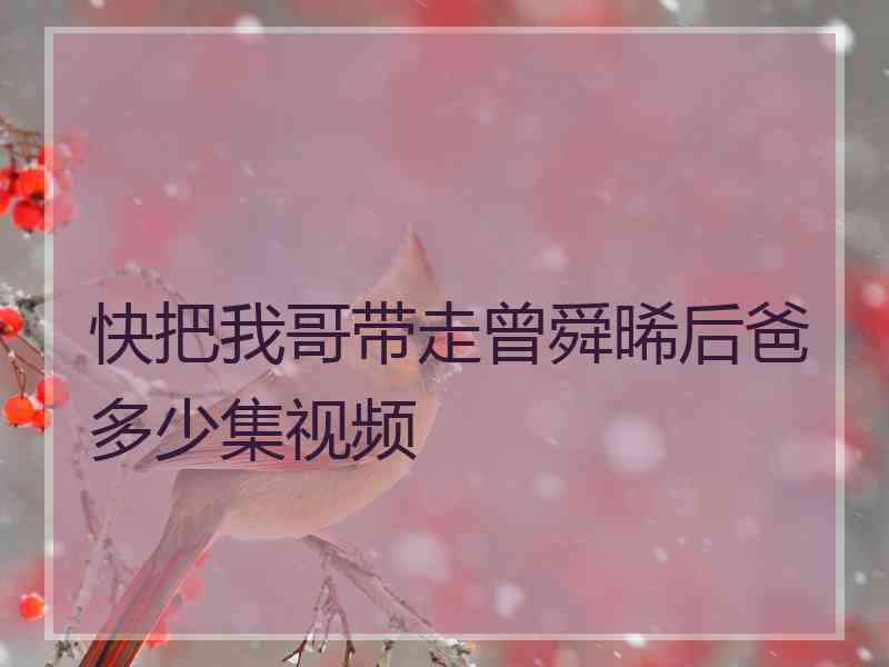快把我哥带走曾舜晞后爸多少集视频