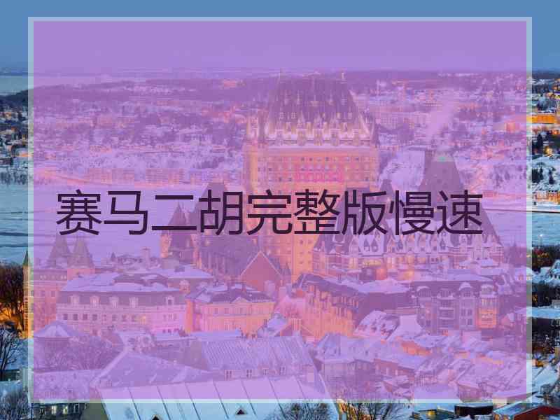 赛马二胡完整版慢速