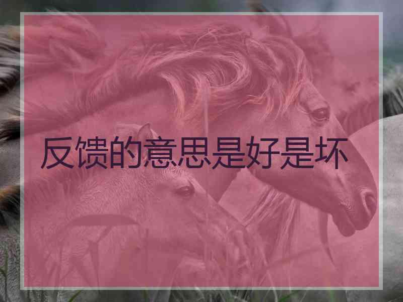 反馈的意思是好是坏