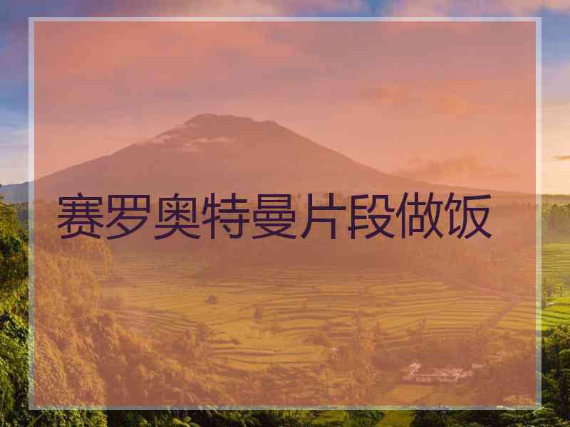 赛罗奥特曼片段做饭