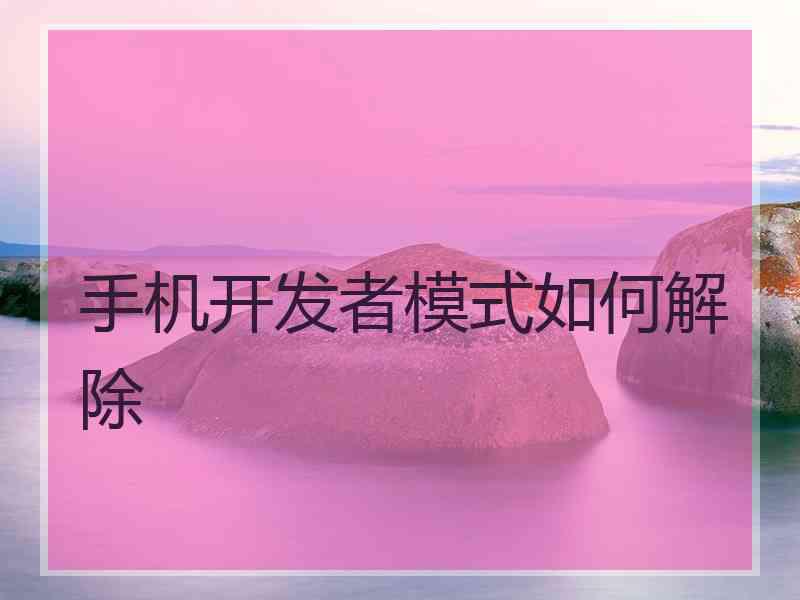 手机开发者模式如何解除