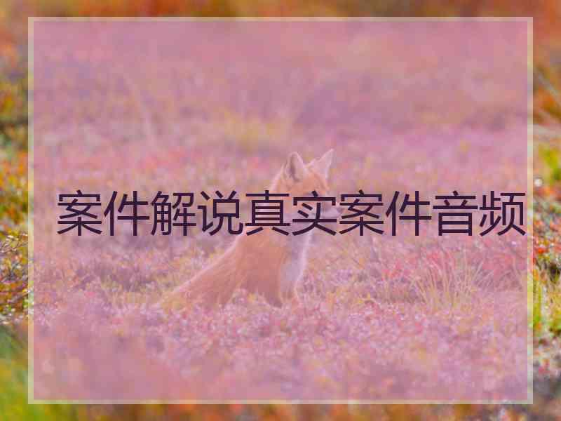 案件解说真实案件音频