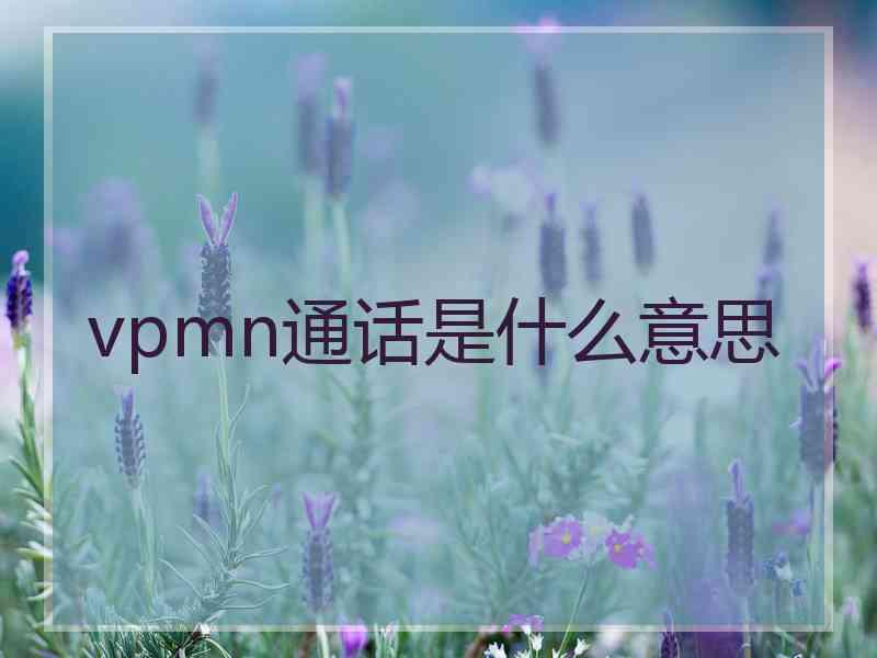vpmn通话是什么意思