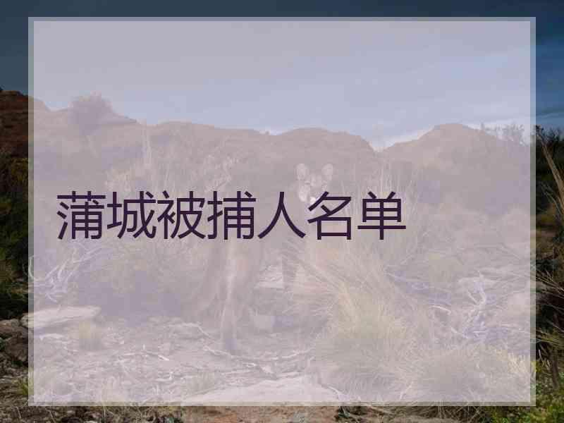 蒲城被捕人名单
