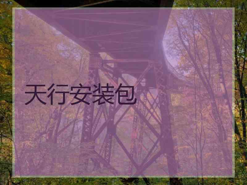 天行安装包