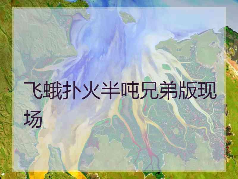 飞蛾扑火半吨兄弟版现场