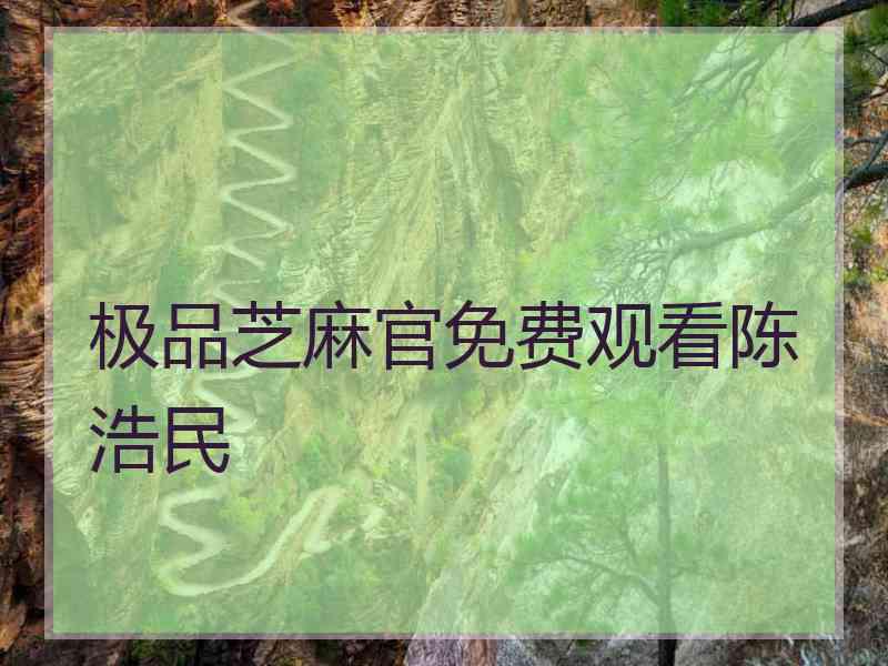 极品芝麻官免费观看陈浩民