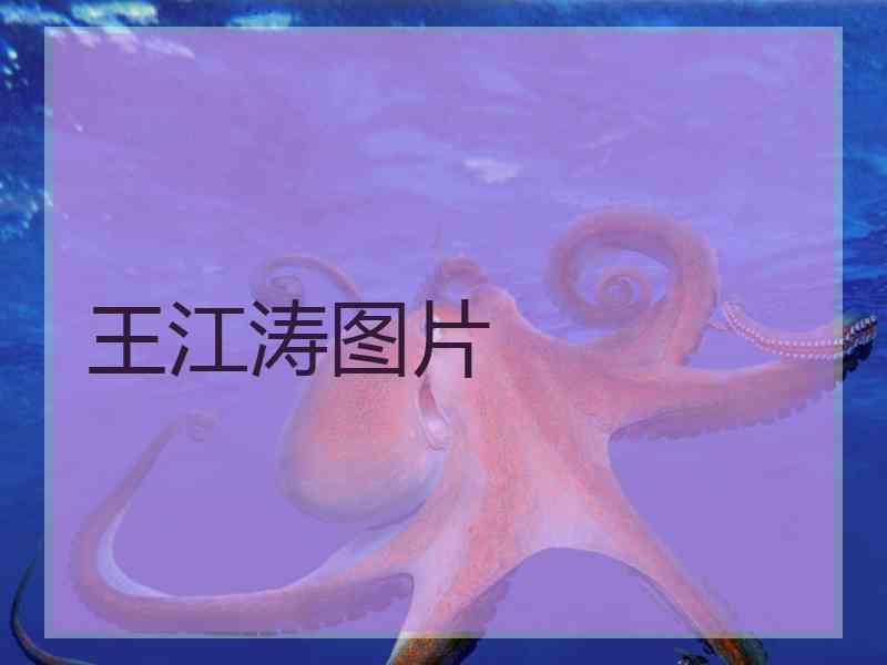 王江涛图片
