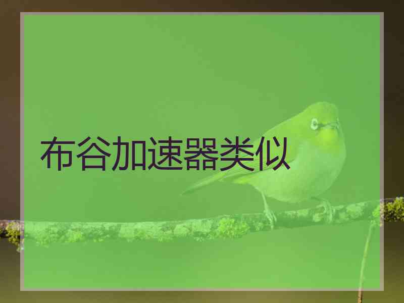 布谷加速器类似