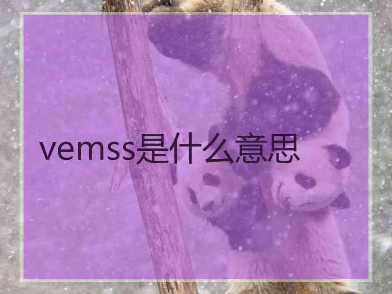 vemss是什么意思