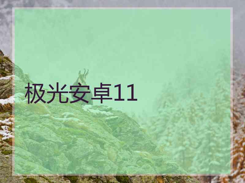 极光安卓11